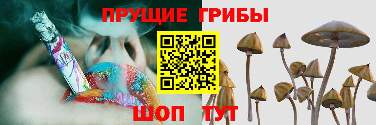 Калуга  купить наркотик  Вход с VPN  Псилоцибиновые грибы Cubensis 